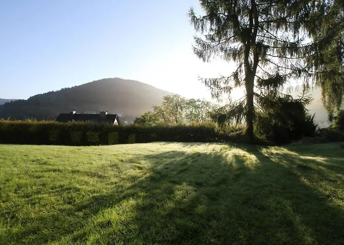 Welcome In - Met Terras En Prachtig Uitzicht Over Silbach Daire